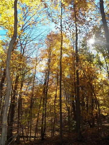 $225,000 | 7231 Evert Road, Bristol, NY 14469