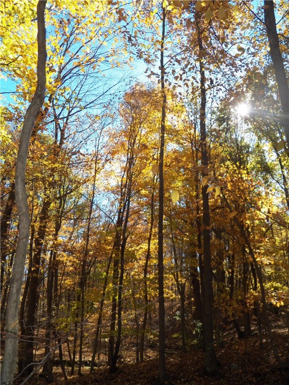 7231 Evert Road Bloomfield, NY 14469 - Photo 11 of 27