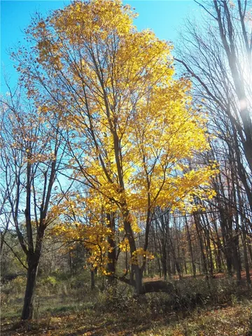 $225,000 | 7231 Evert Road, Bristol, NY 14469