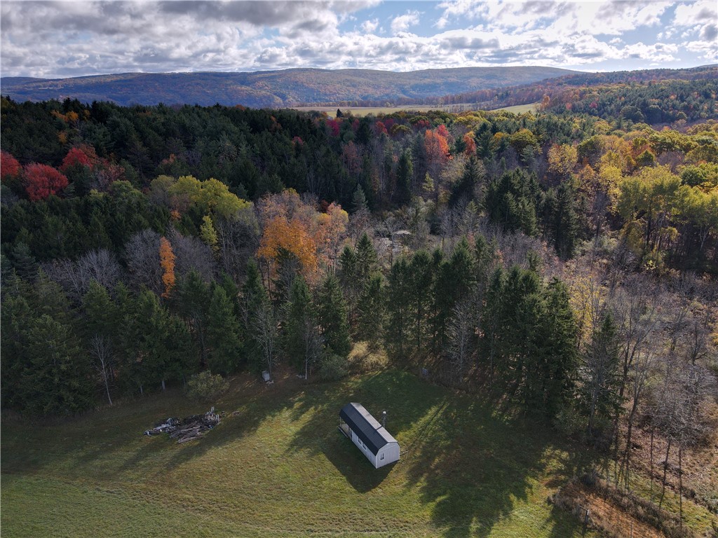 7231 Evert Road Bloomfield, NY 14469 - Photo 2 of 27