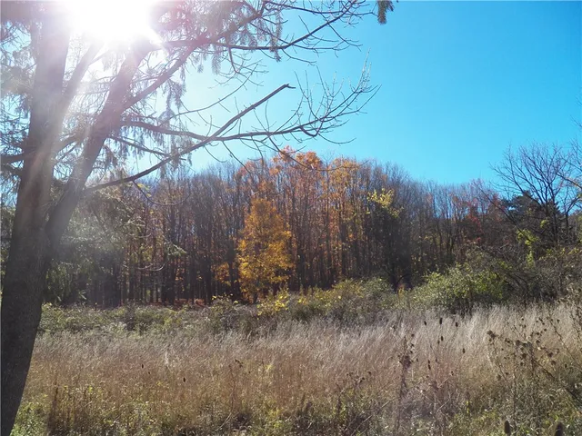 $225,000 | 7231 Evert Road, Bristol, NY 14469