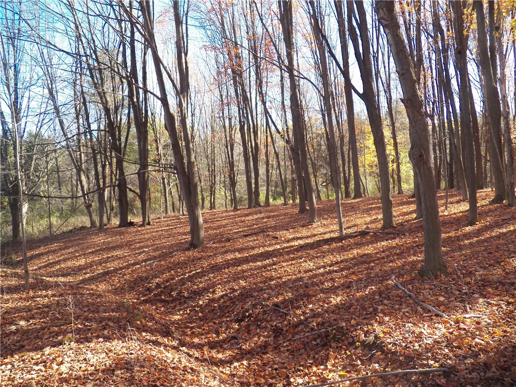 7231 Evert Road Bloomfield, NY 14469 - Photo 22 of 27