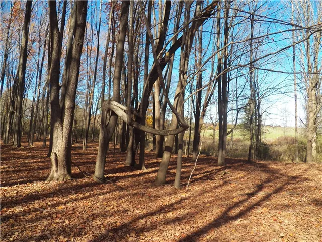 $225,000 | 7231 Evert Road, Bristol, NY 14469