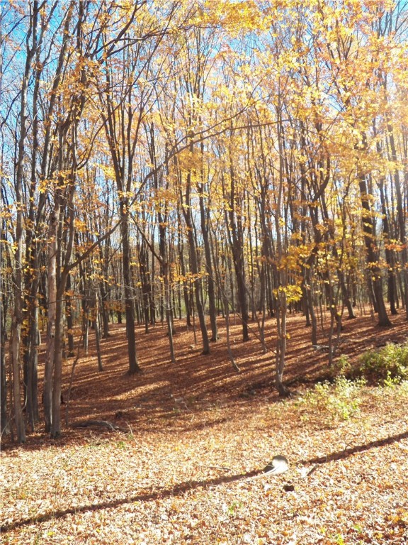 7231 Evert Road Bloomfield, NY 14469 - Photo 24 of 27