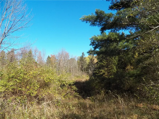 $225,000 | 7231 Evert Road, Bristol, NY 14469