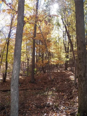 $225,000 | 7231 Evert Road, Bristol, NY 14469