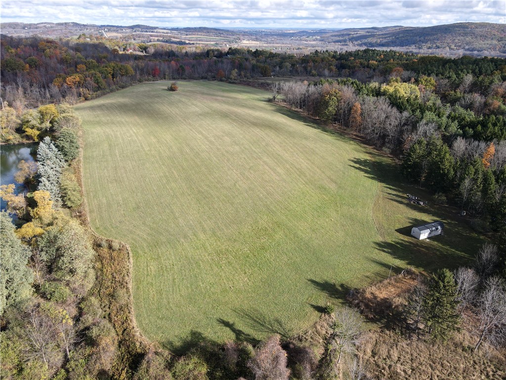 7231 Evert Road Bloomfield, NY 14469 - Photo 4 of 27