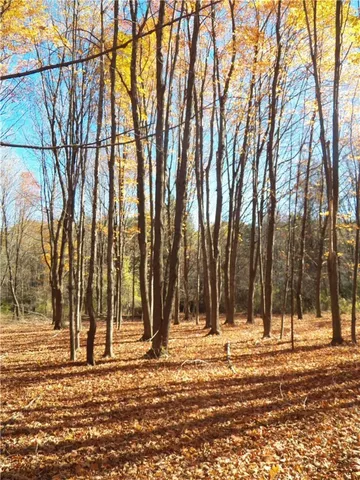 $225,000 | 7231 Evert Road, Bristol, NY 14469