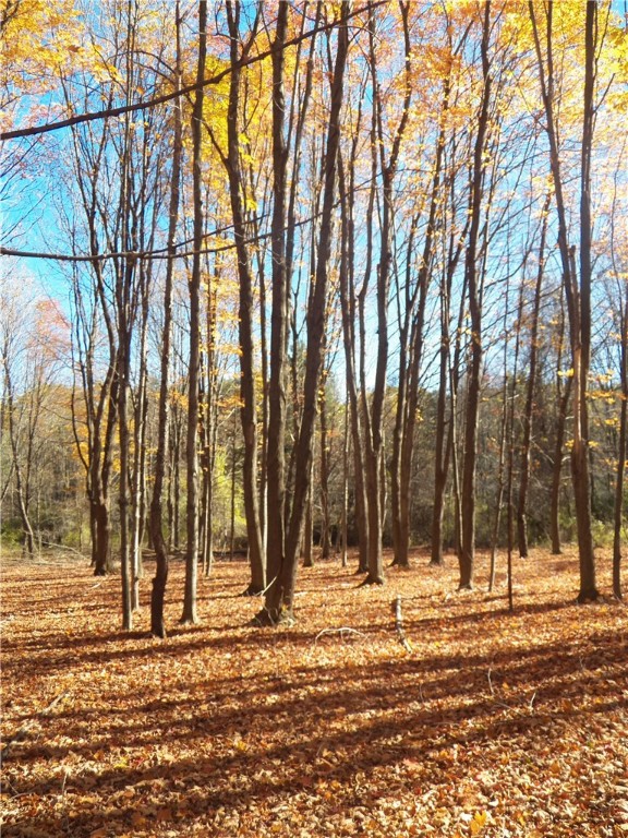 7231 Evert Road Bloomfield, NY 14469 - Photo 9 of 27