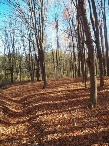 $225,000 | 7231 Evert Road, Bristol, NY 14469