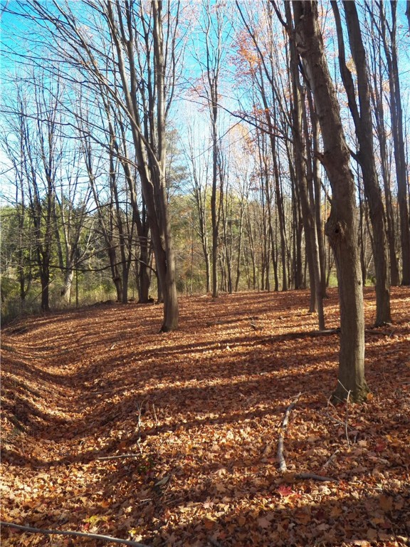 7231 Evert Road Bloomfield, NY 14469 - Photo 10 of 27