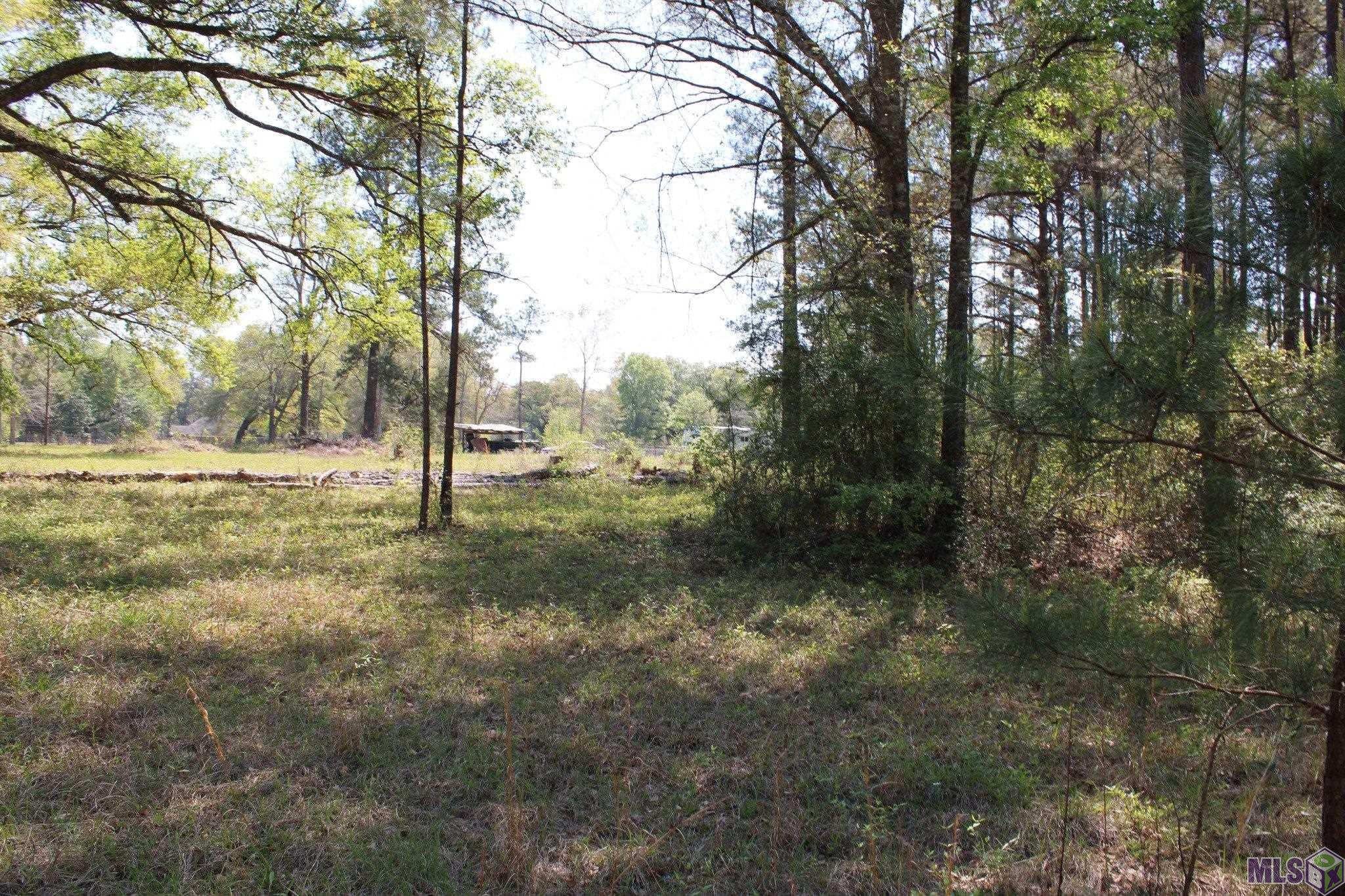 0 Breland Road South Bogalusa, LA 70427 - Photo 8 of 22