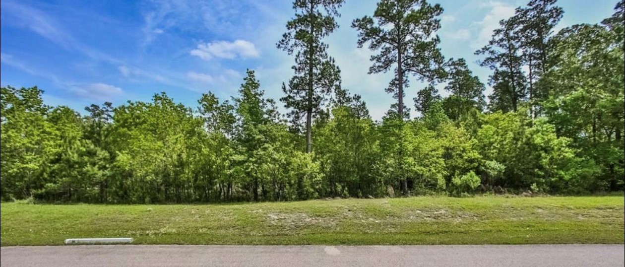 27588 South Lazy Meadow Way Spring, TX 77386 - Photo 3 of 9 Lot View