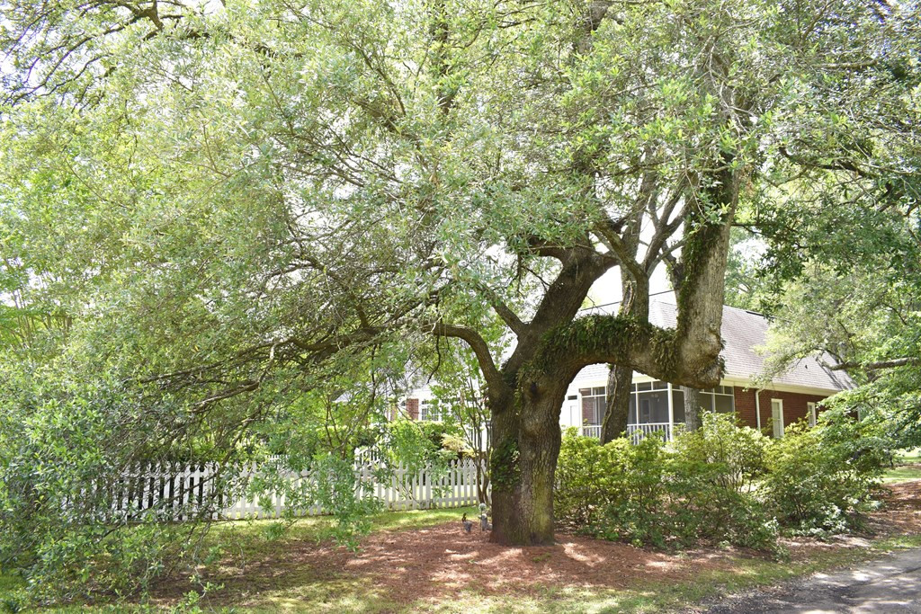 3265 Green View Parkway Sumter, SC 29150 - Photo 19 of 63