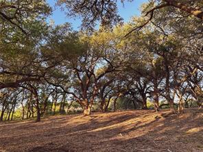 Lot 7 Rifle Ridge Burnet, TX 78611 - Photo 4 of 5 Mature oak trees canopy a gently sloping lot, casting long afternoon shadows across the ground.