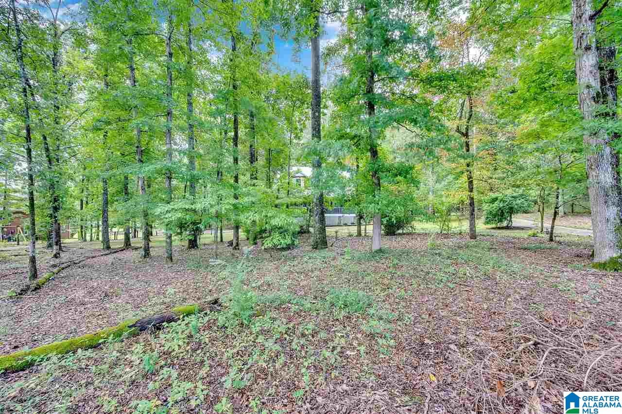3776 Humber Road Dora, AL 35062 - Photo 3 of 29