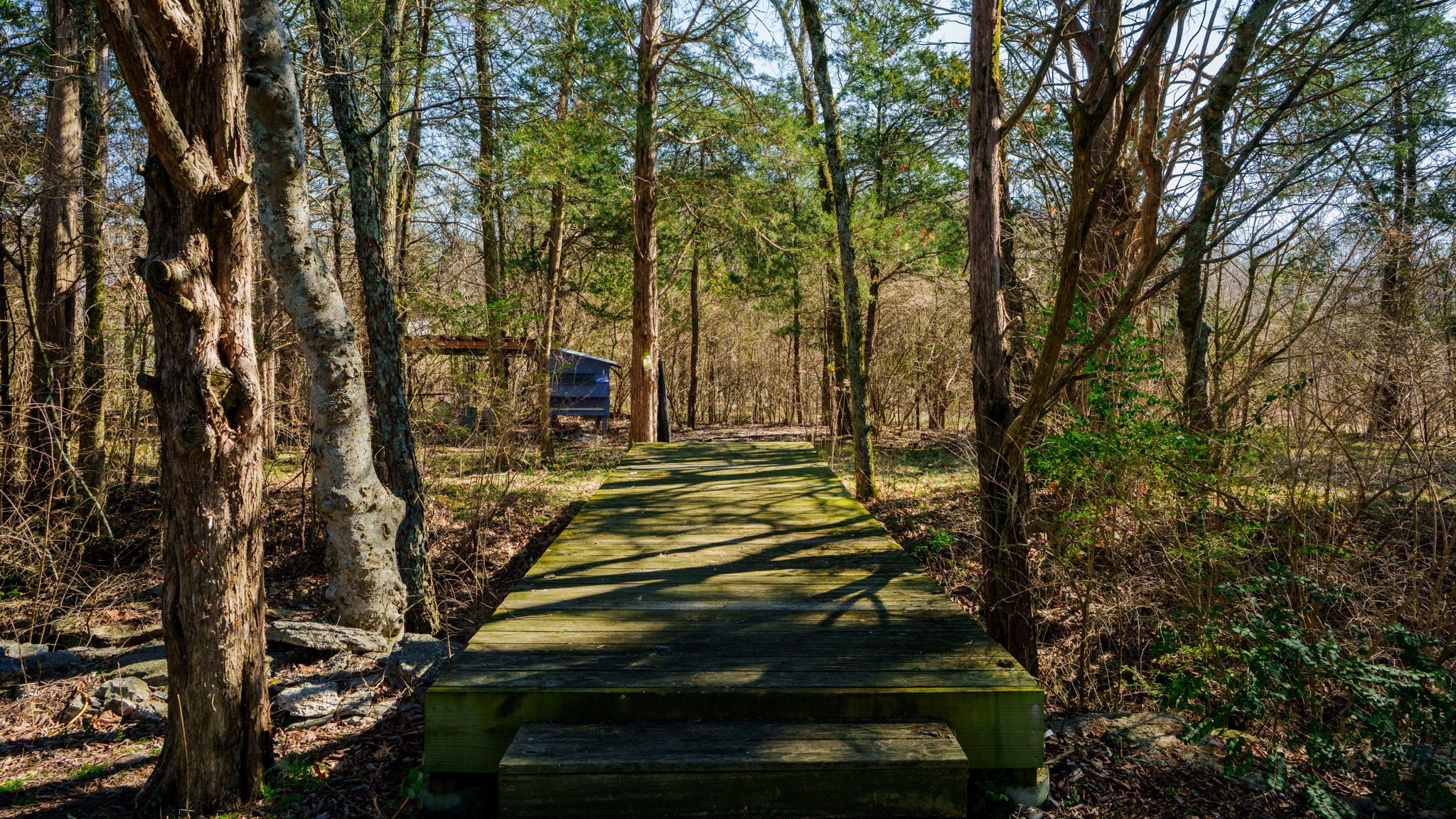 580 Windy Road Mount Juliet, TN 37122 - Photo 51 of 59