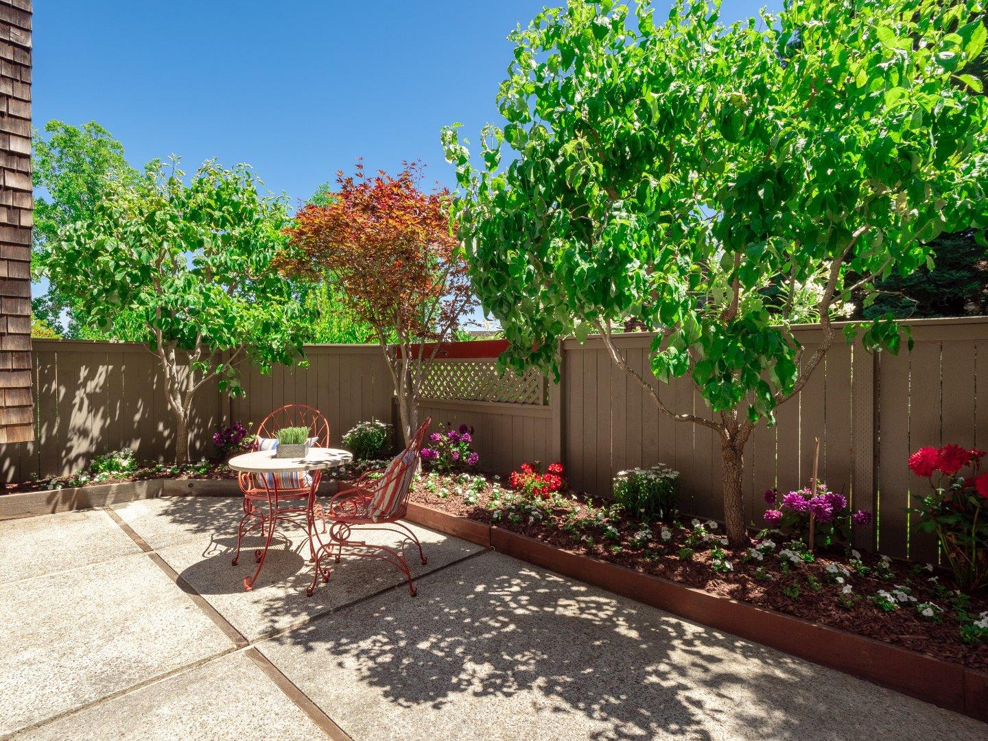 124 Peter Coutts Circle Stanford, CA 94305 - Photo 4 of 17 a view of a backyard with plants and furniture