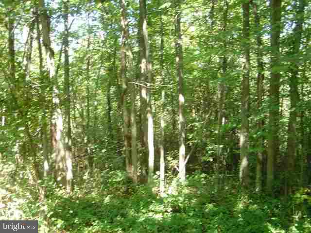 Lot2 Orchard Road Newport, PA 17074 - Photo 5 of 9 Gallery Image 5