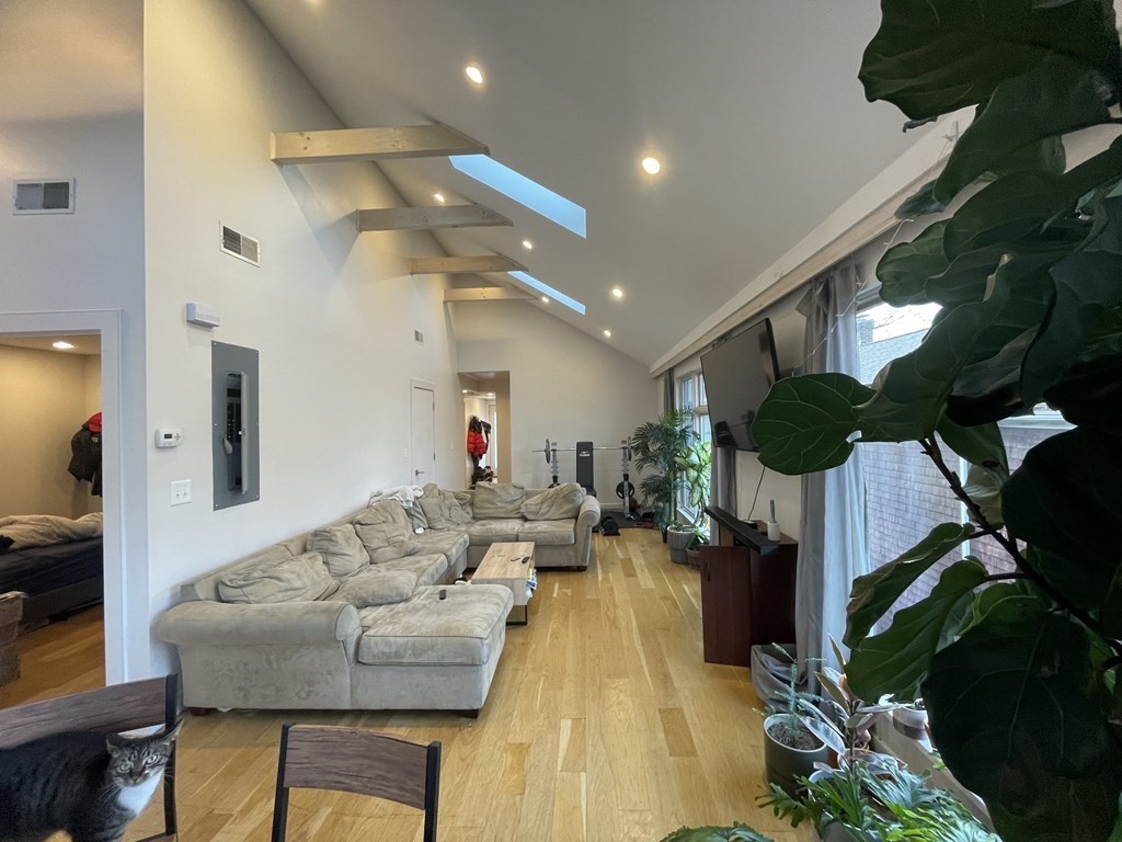 41 Thornton Street, Unit 41 Boston, MA 02119 - Photo 2 of 9