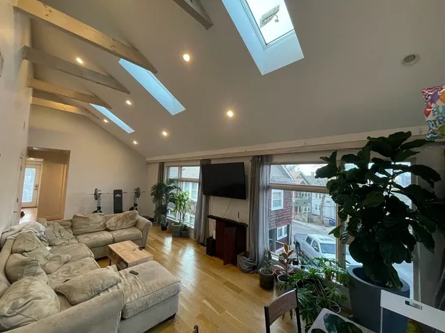 a living room with furniture flower pot and a fireplace