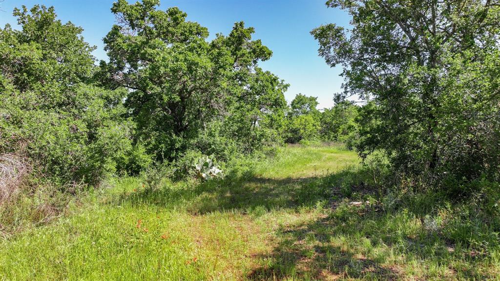 Tbd Lot 18.1 Tbd Road Gordon, TX 76453 - Photo 20 of 37 a view of a garden