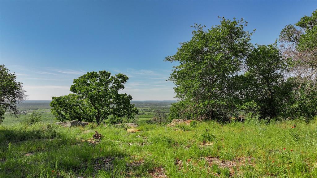 Tbd Lot 18.1 Tbd Road Gordon, TX 76453 - Photo 10 of 37 a view of a garden