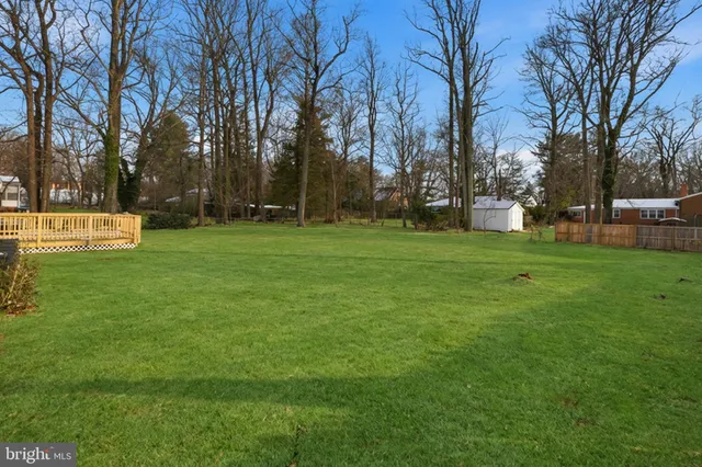 a view of a park with large trees