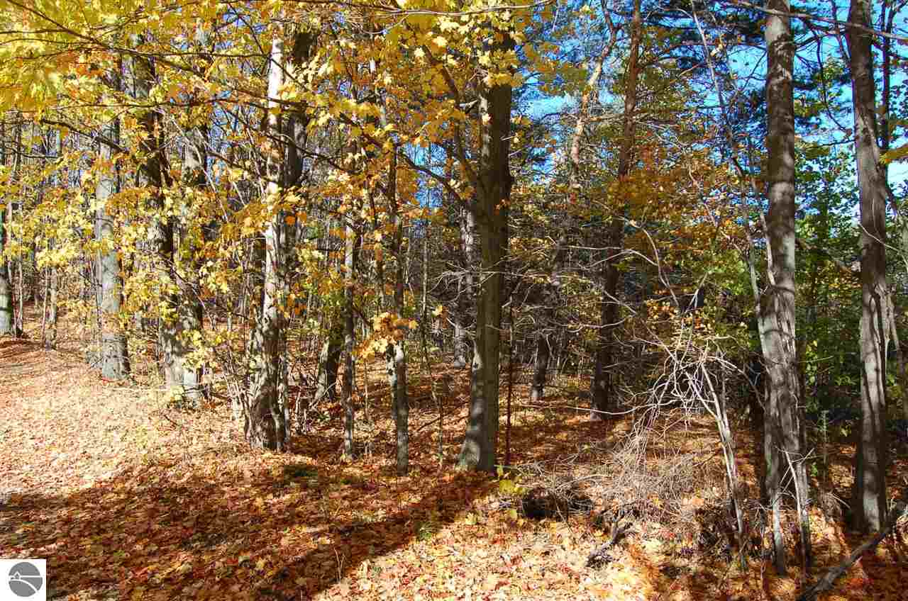 0 North Dundas Rd Rapid Alden, MI 49612 - Photo 3 of 12