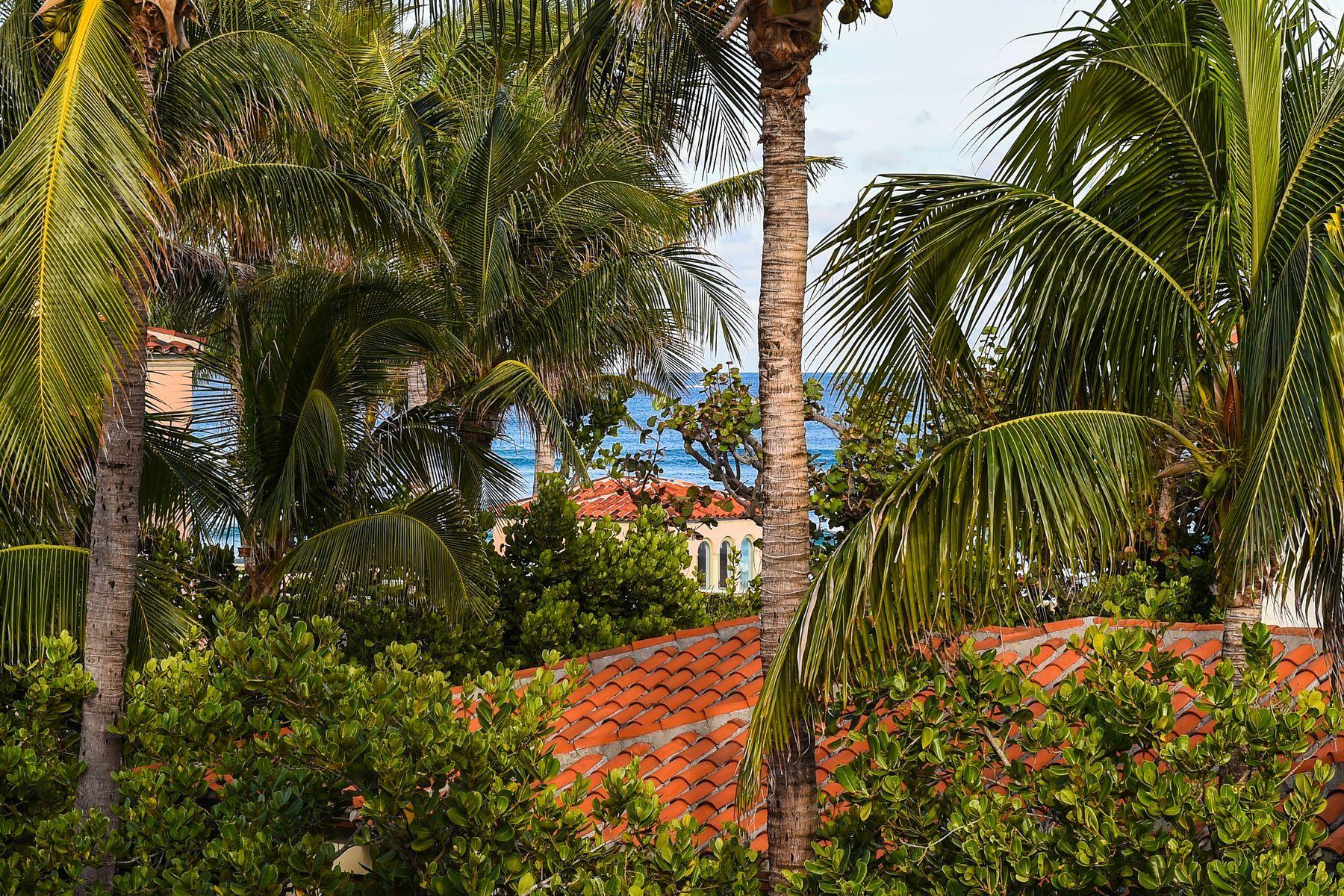 111 Dunbar Road Palm Beach, FL 33480 - Photo 26 of 45 0077911(32)