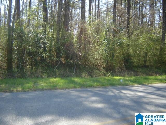 0 South 7th Street, Unit 1 Clanton, AL 35045 - Photo 1 of 2