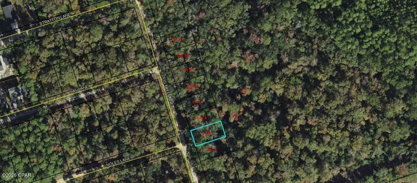 $12,000 | Lot 5 Fig Tree Lane, Crawfordville, FL 32327