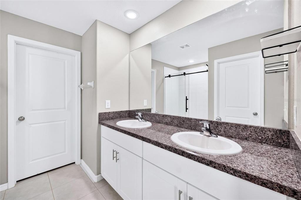 31724 Sun Kettle Loop Wesley Chapel, FL 33545 - Photo 35 of 49 a bathroom with a granite countertop sink and a mirror