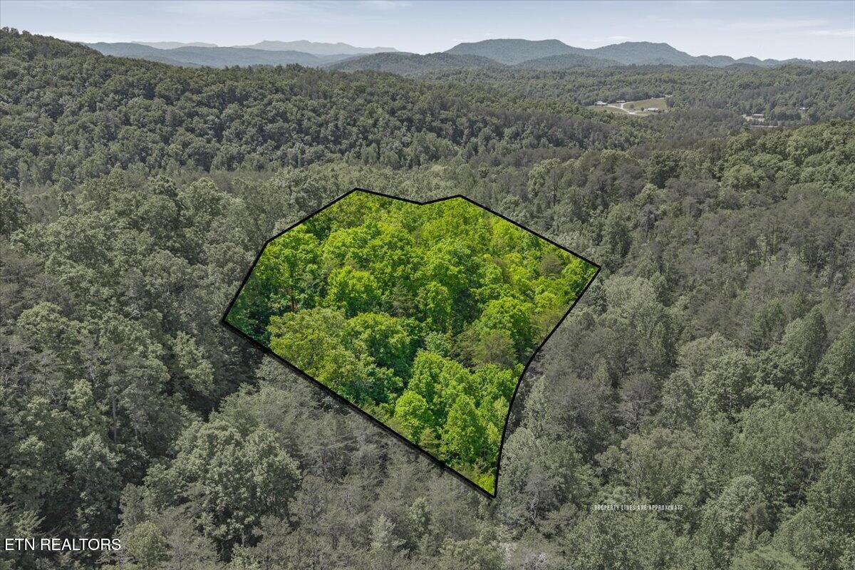 215 Citico Road Vonore, TN 37885 - Photo 1 of 10 04-00 Citico Rd. Lot 1-1