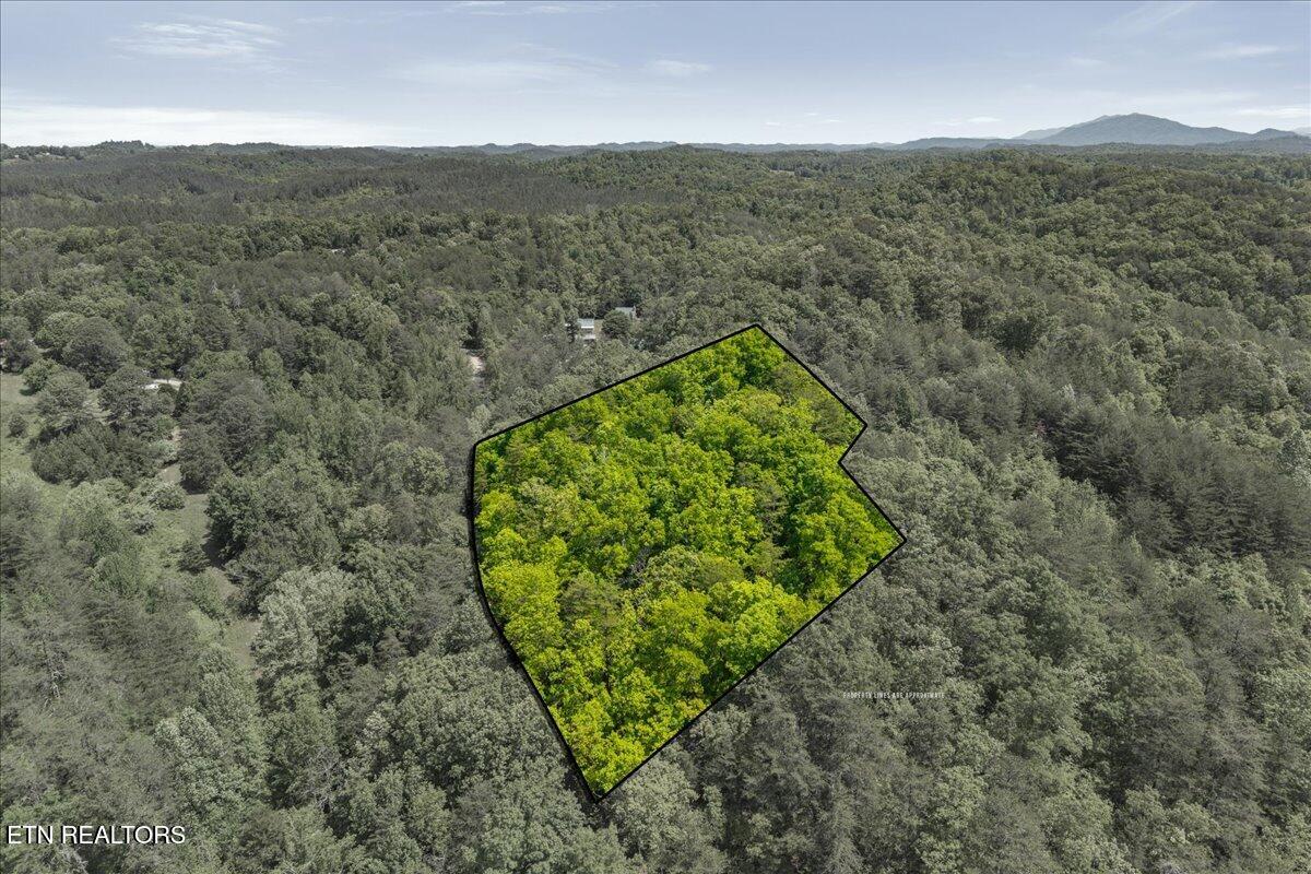 215 Citico Road Vonore, TN 37885 - Photo 2 of 10 06-00 Citico Rd. Lot 1-3