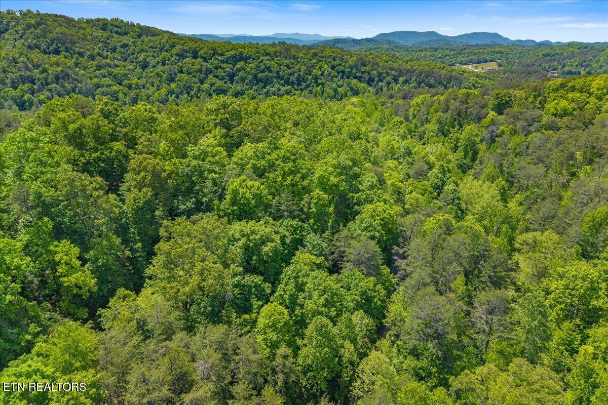 215 Citico Road Vonore, TN 37885 - Photo 3 of 10 02-00 Citico Rd. Lot 1-9