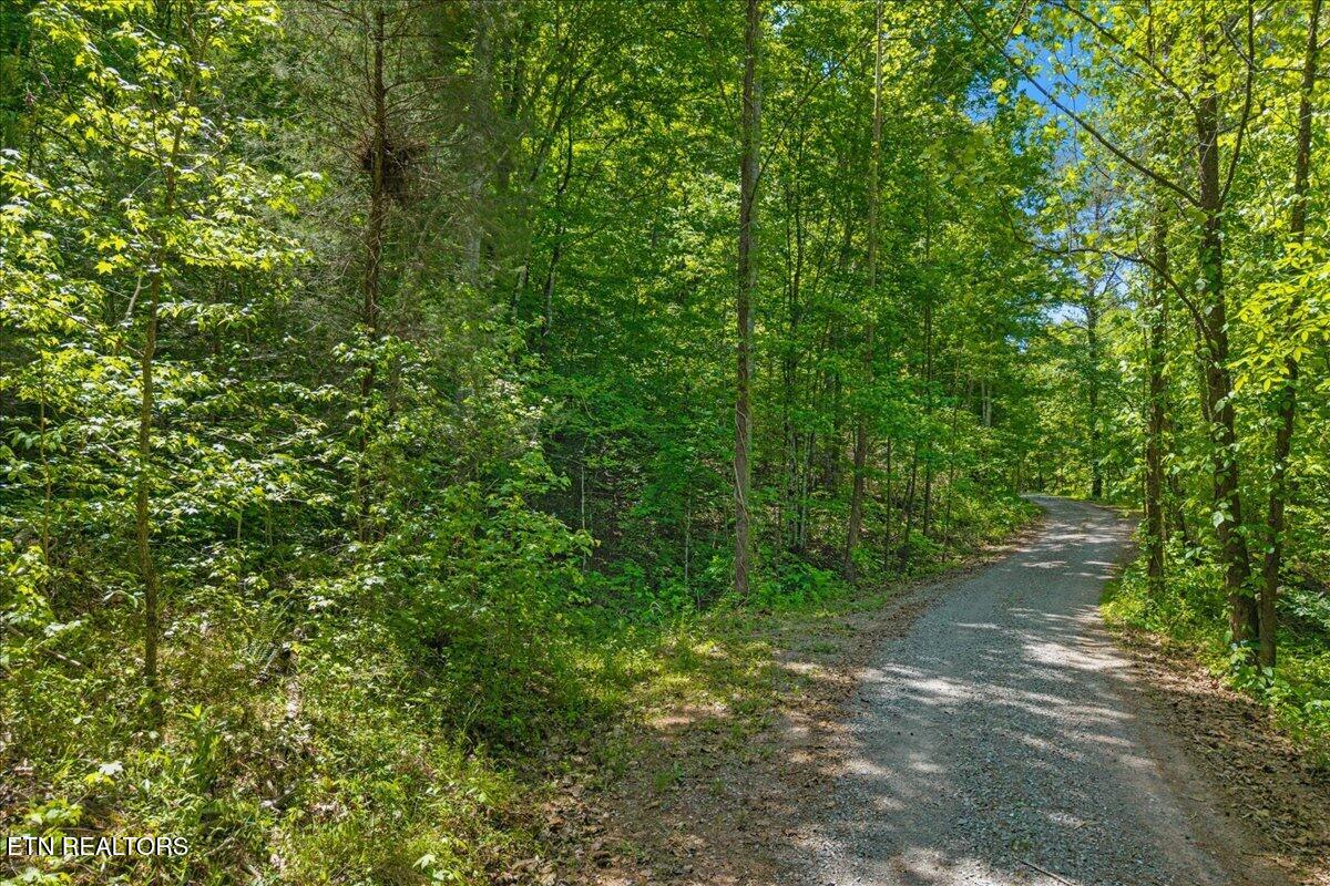 215 Citico Road Vonore, TN 37885 - Photo 4 of 10 01-00 Citico Rd. Lot 1-8
