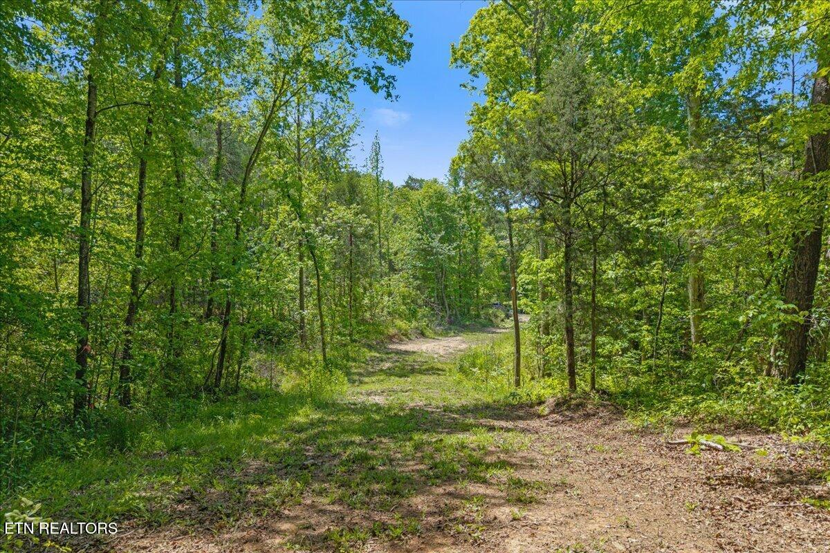 215 Citico Road Vonore, TN 37885 - Photo 5 of 10 03-00 Citico Rd. Lot 1-10