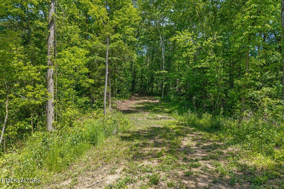 215 Citico Road Vonore, TN 37885 - Photo 6 of 10 09-00 Citico Rd. Lot 1-6