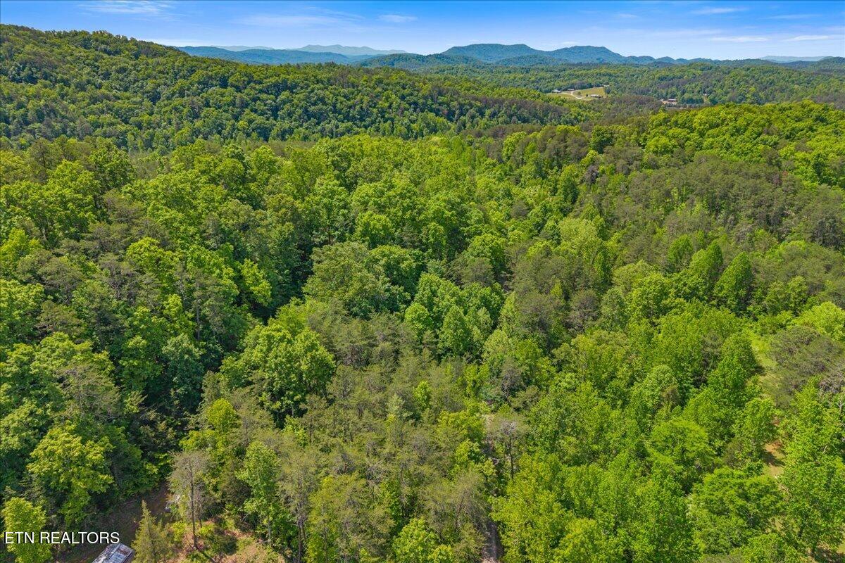 215 Citico Road Vonore, TN 37885 - Photo 7 of 10 05-00 Citico Rd. Lot 1-2