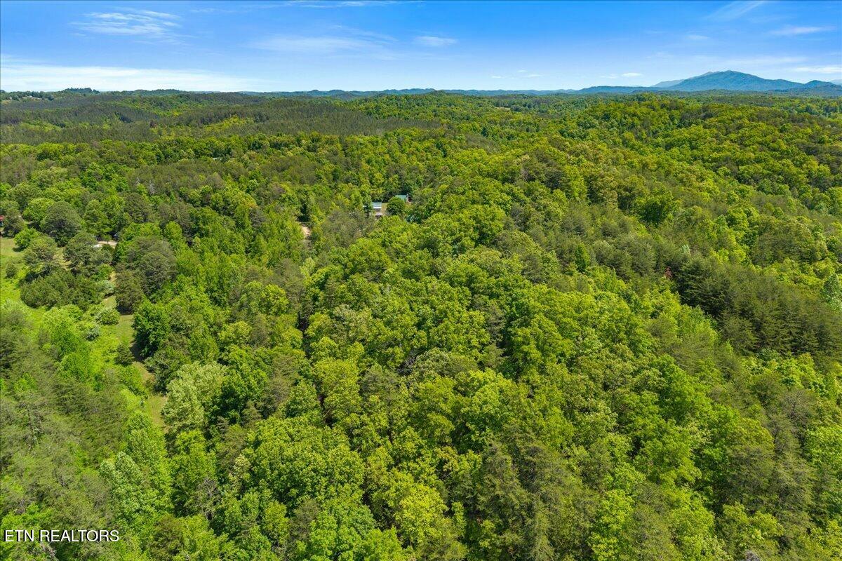 215 Citico Road Vonore, TN 37885 - Photo 8 of 10 07-00 Citico Rd. Lot 1-4