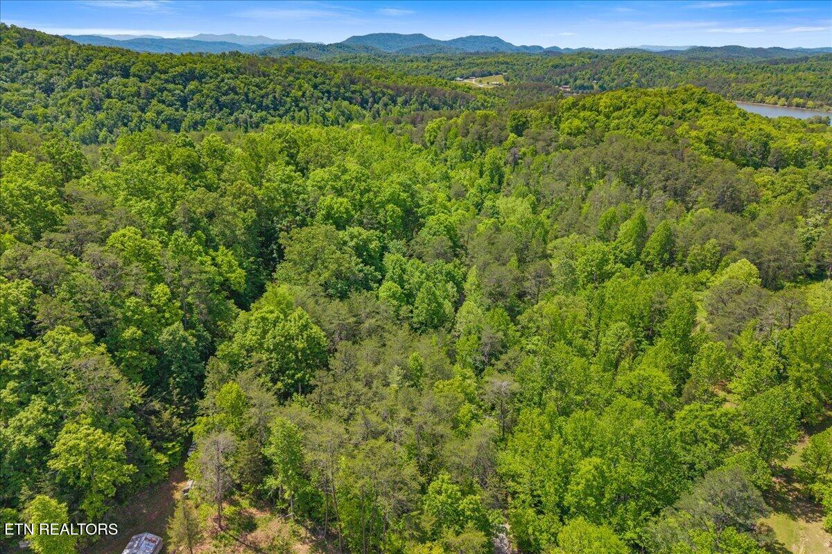 215 Citico Road Vonore, TN 37885 - Photo 9 of 10 08-00 Citico Rd. Lot 1-5