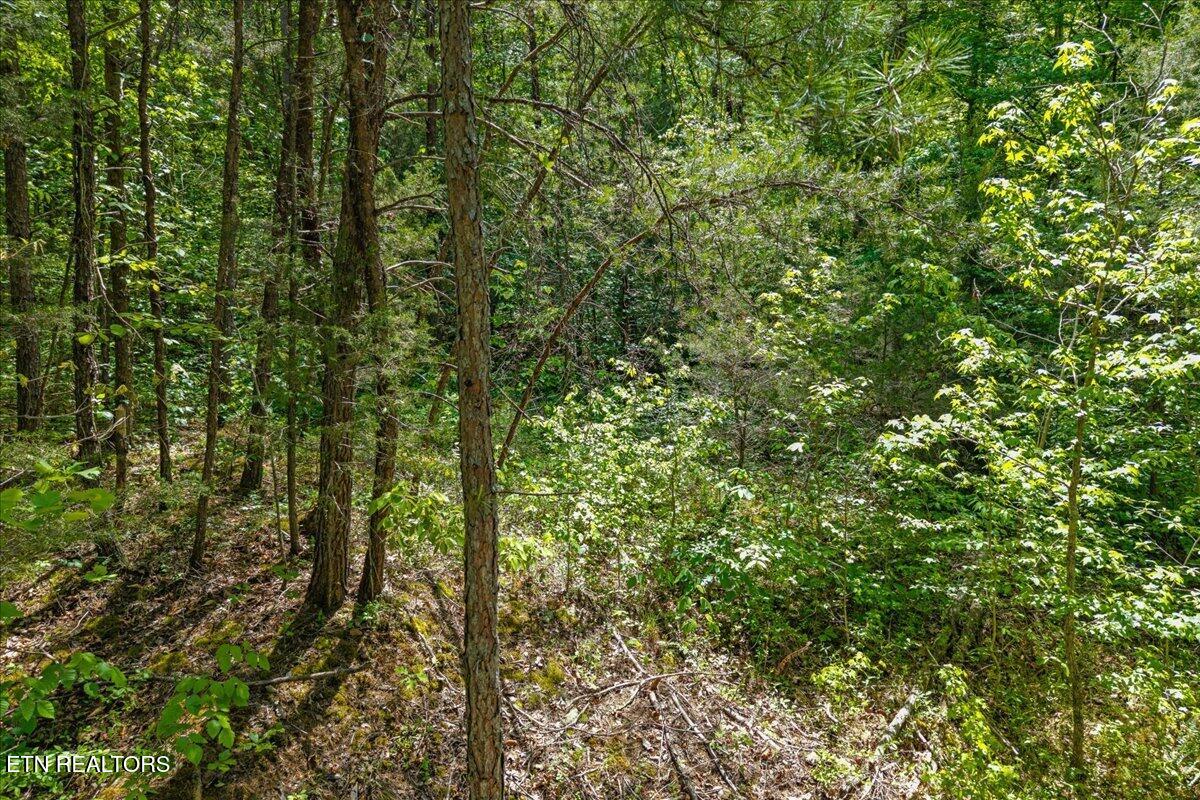 215 Citico Road Vonore, TN 37885 - Photo 10 of 10 10-00 Citico Rd. Lot 1-7