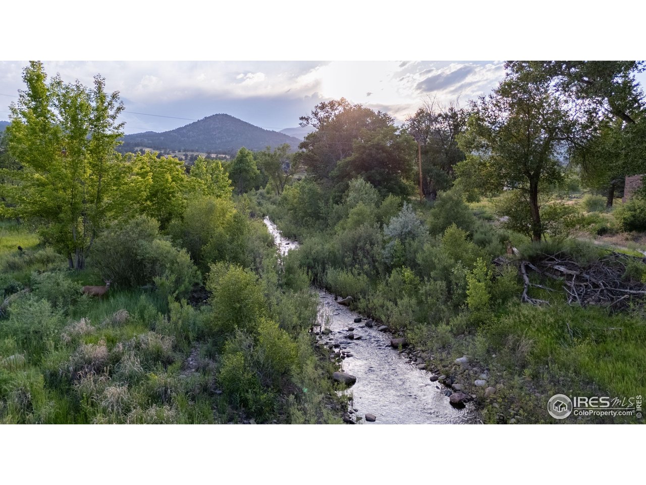 108 Lone Star Road Lyons, CO 80540 - Photo 2 of 43