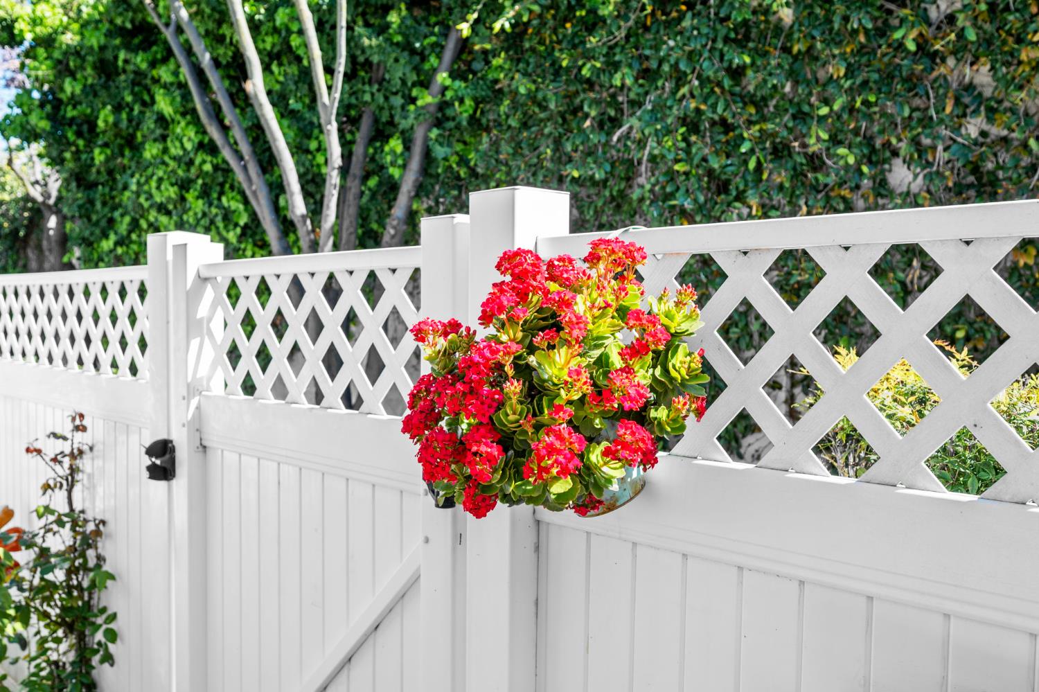 5560 Cosmos Common Fremont, CA 94538 - Photo 11 of 60