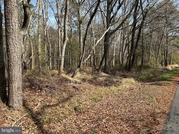 $17,500 | Bay Shore Road, Taylors Island, MD 21669