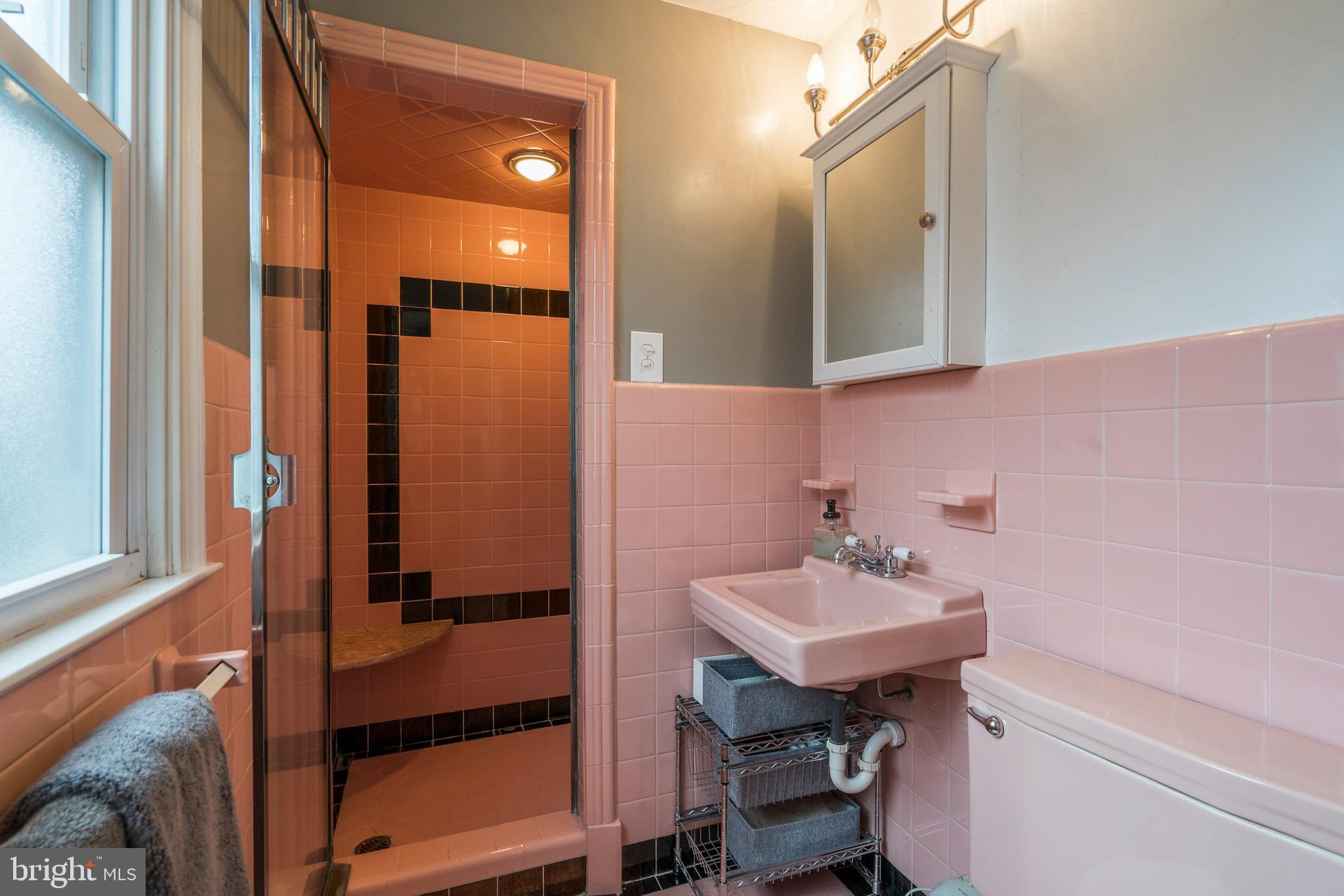 514 Baird Road Merion Station, PA 19066 - Photo 20 of 28 Primary Bathroom