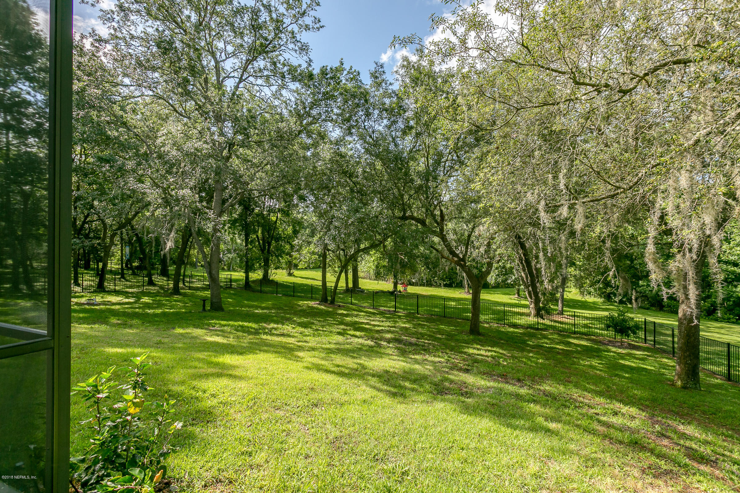 2841 Ravines Road Middleburg, FL 32068 - Photo 34 of 35 Back_Yard_View_4