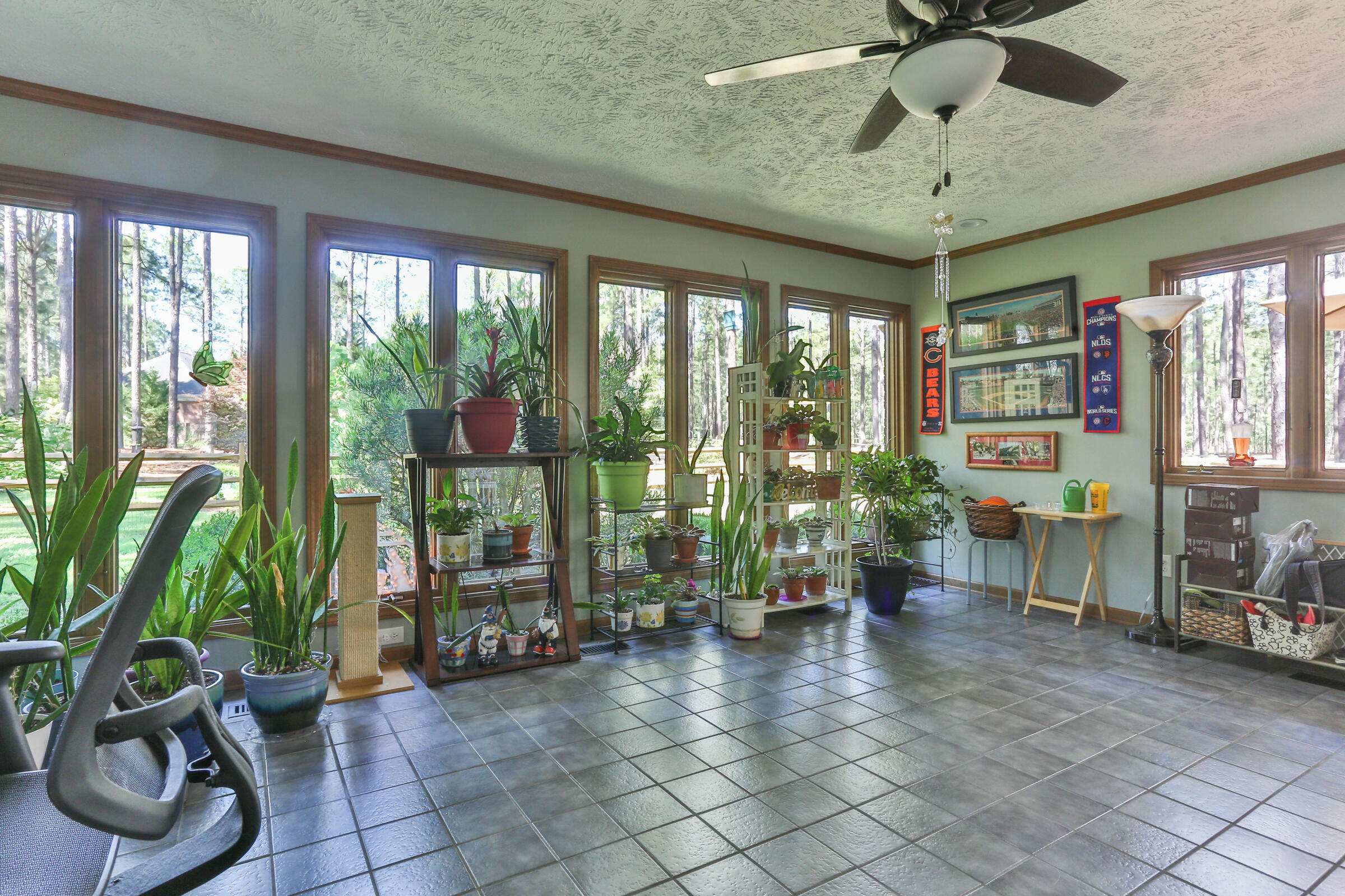 119 Grey Fox Run Rockingham, NC 28379 - Photo 30 of 57 2Z1A0680