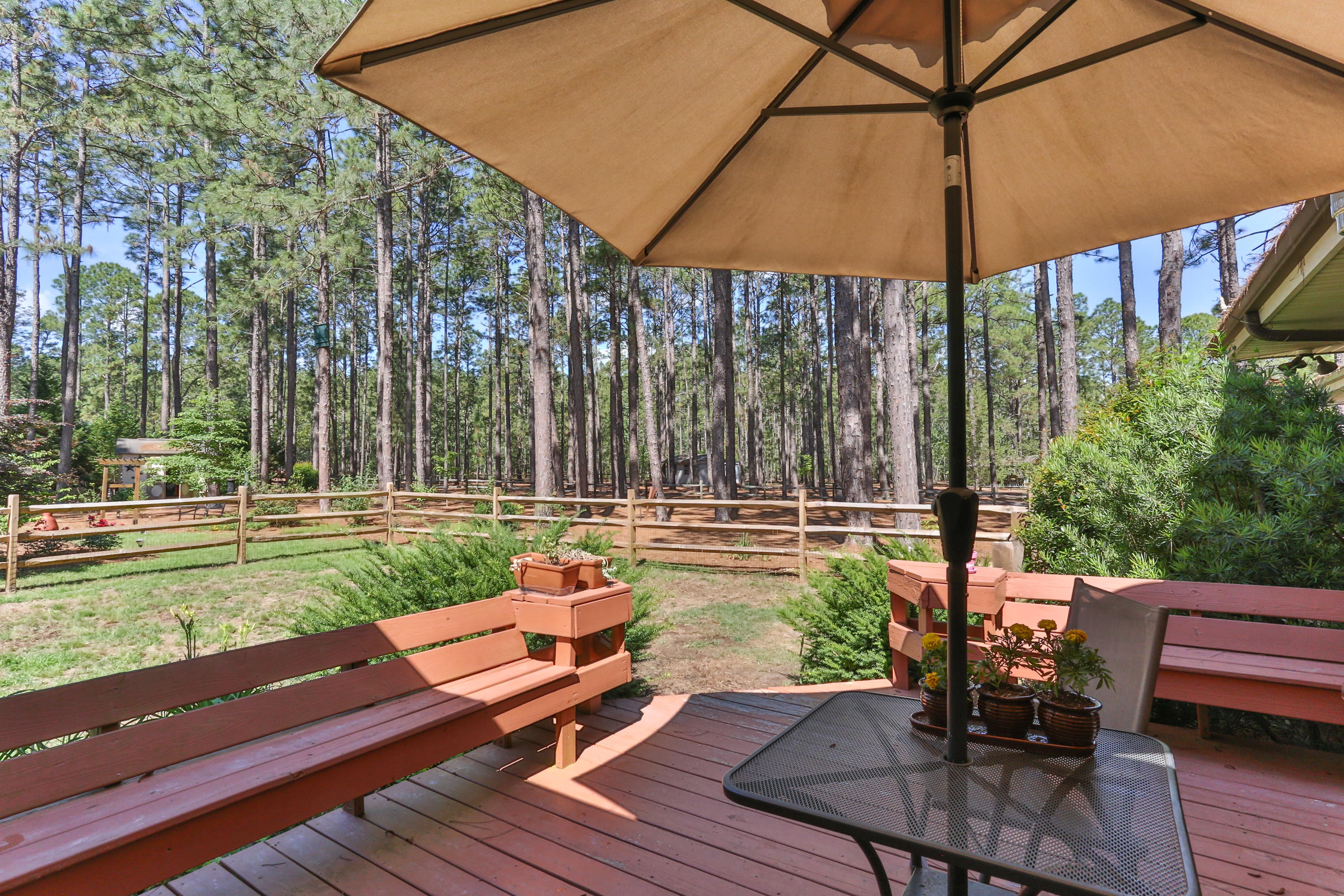 119 Grey Fox Run Rockingham, NC 28379 - Photo 39 of 57 2Z1A0724